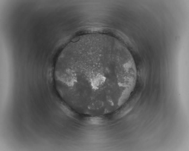 X0000111590462200907301430