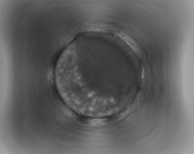 X0000111590465200907301430