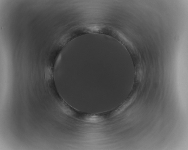 X0000111590467200907301430