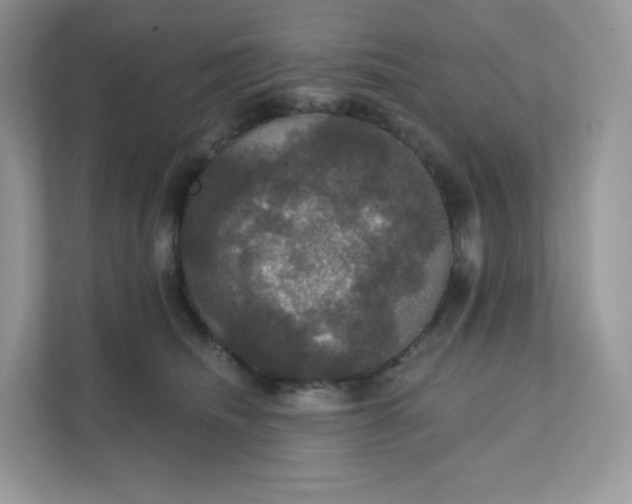 X0000111590468200907301430