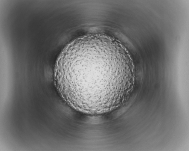 X0000111590469200907301430