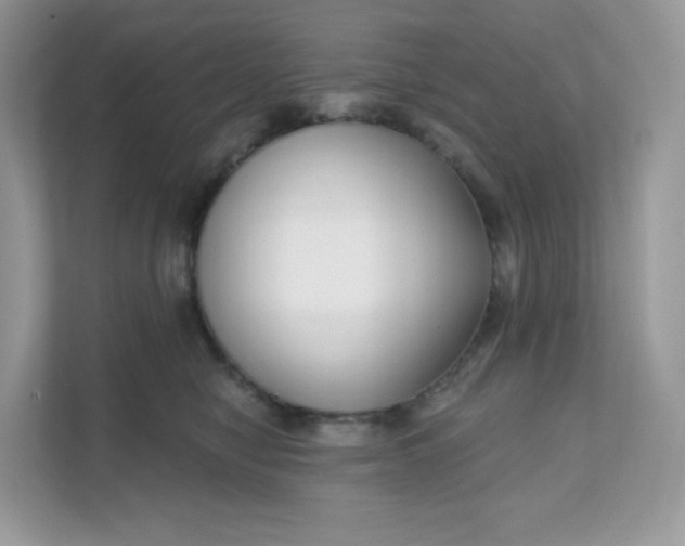 X0000111590470200907301430