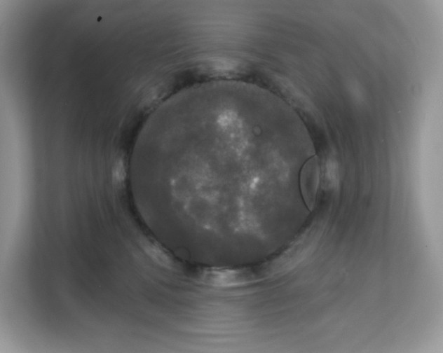 X0000111590472200907301430