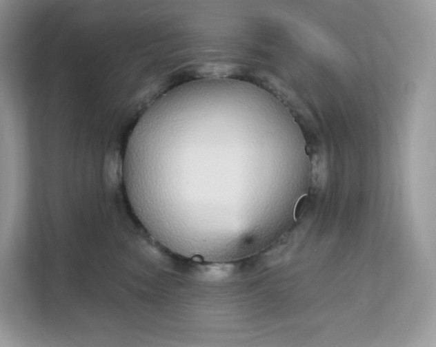 X0000111590474200907301430