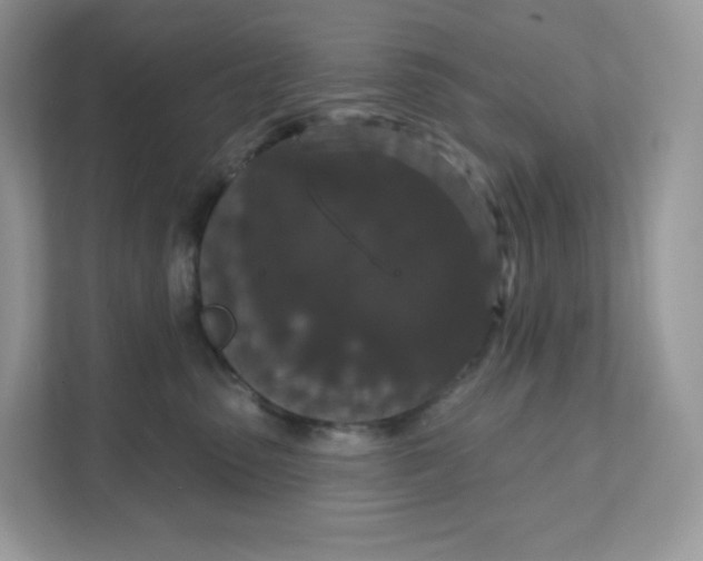 X0000111590475200907301430