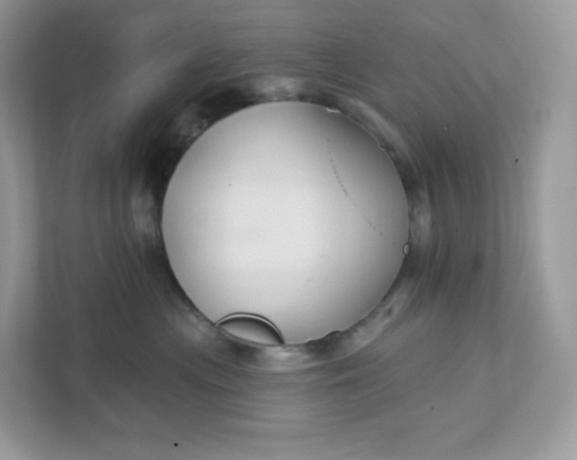 X0000111590477200907301430