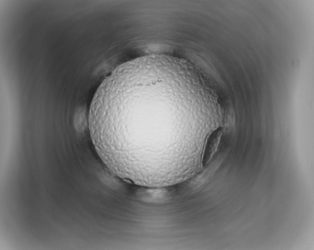 X0000111590478200907301430