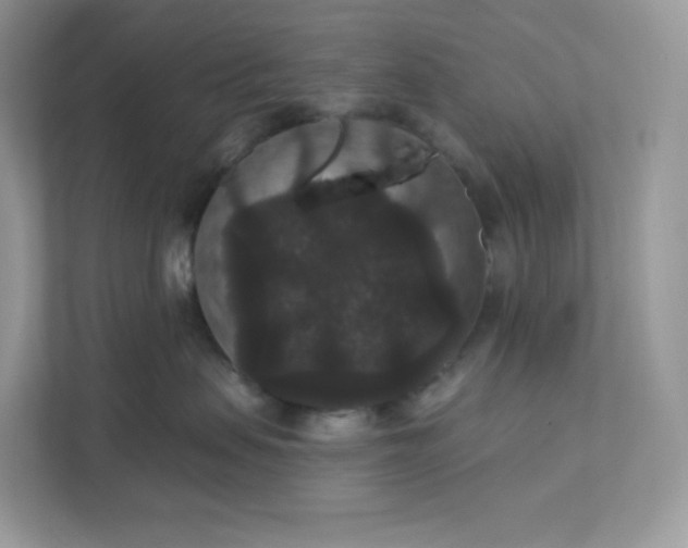 X0000111590479200907301430