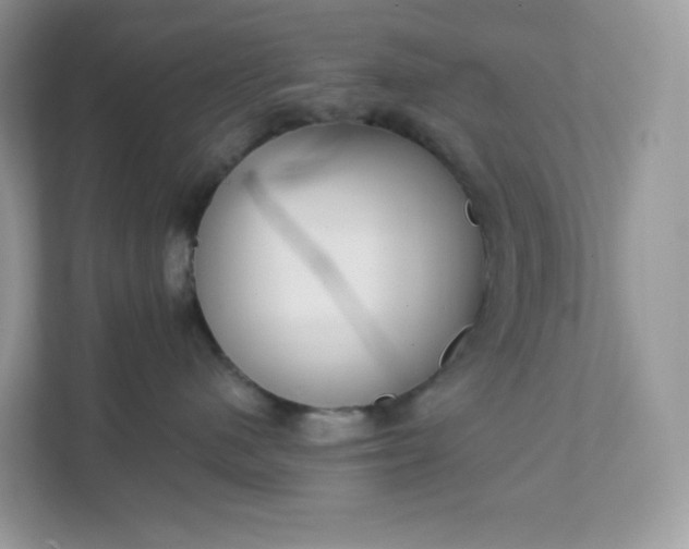 X0000111590480200907301430