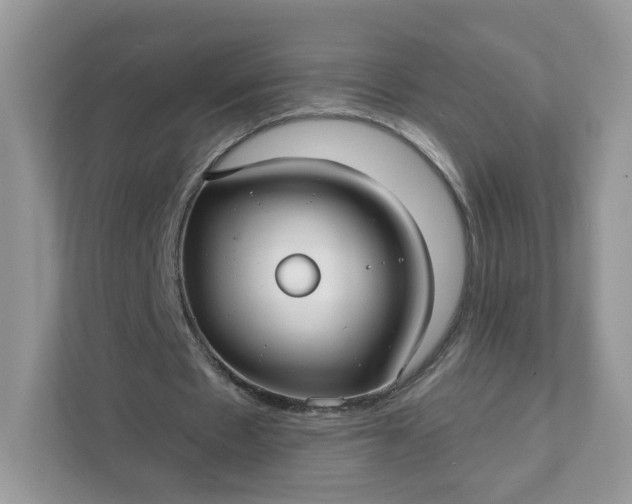 X0000111590481200907301429