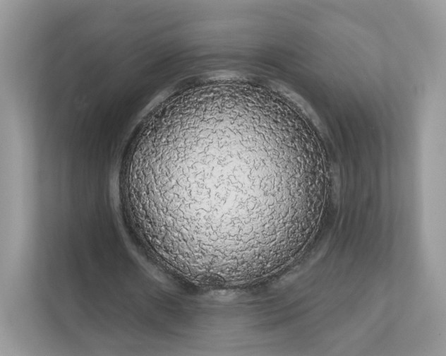 X0000111590482200907301429