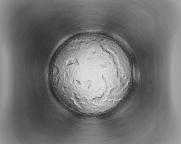 X0000111590483200907301429