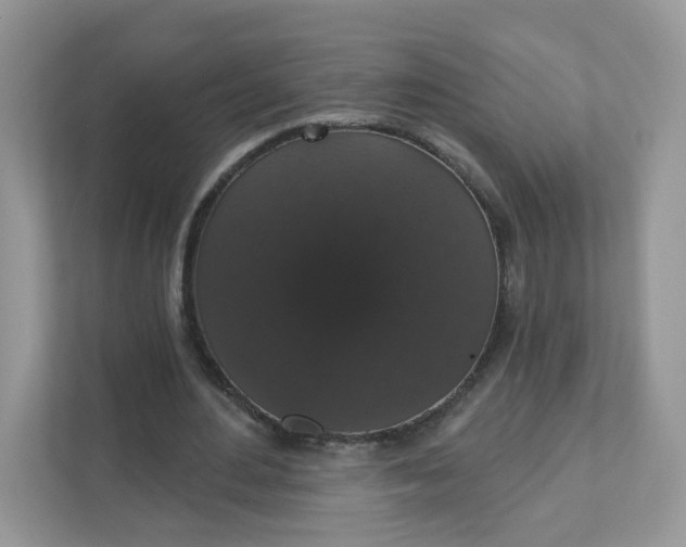 X0000111590484200907301429