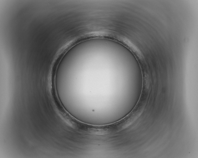 X0000111590486200907301429