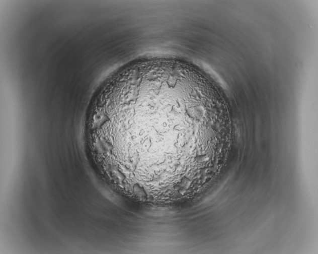 X0000111590487200907301429