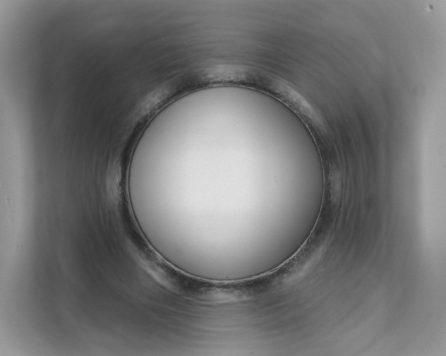 X0000111590490200907301429