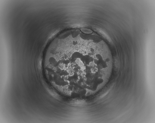 X0000111590491200907301429