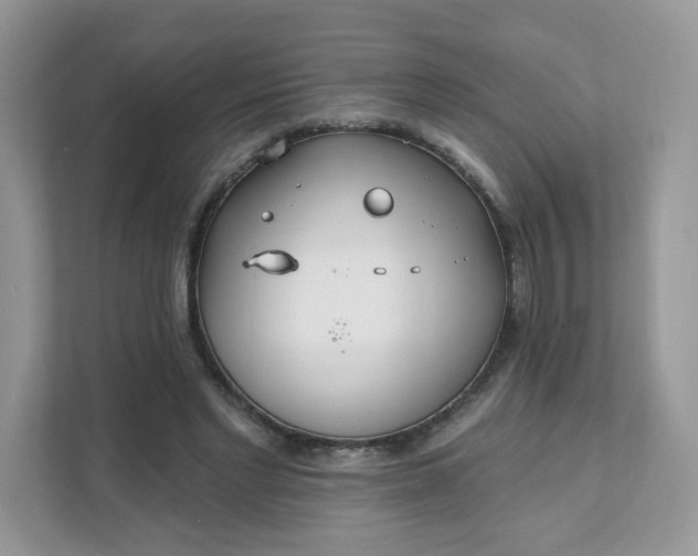 X0000111590493200907301429