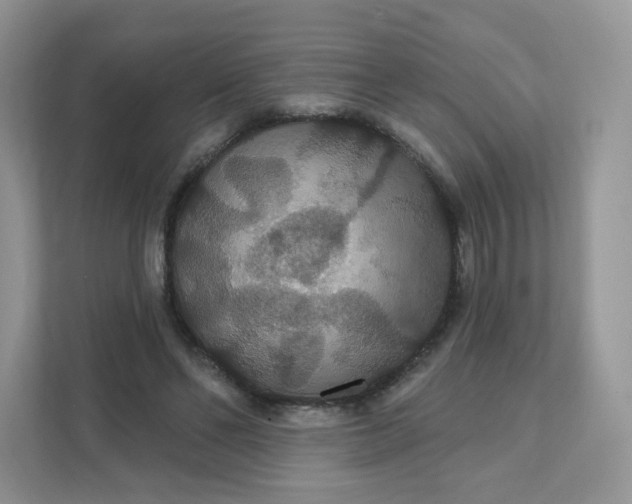 X0000111590494200907301429