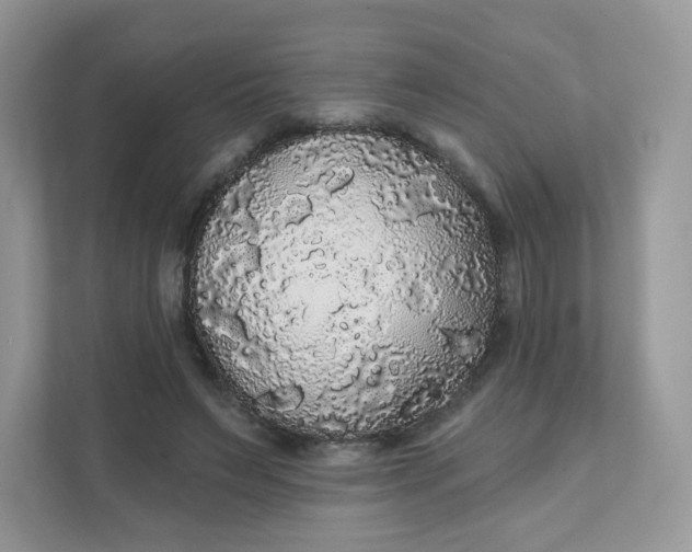 X0000111590495200907301429