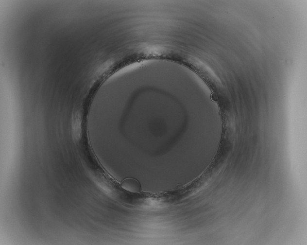 X0000111590496200907301429