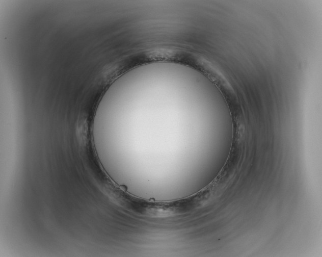 X0000111590498200907301429