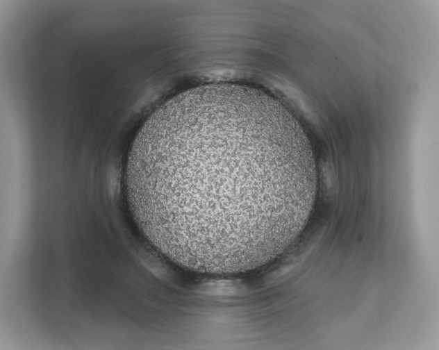 X0000111590499200907301429