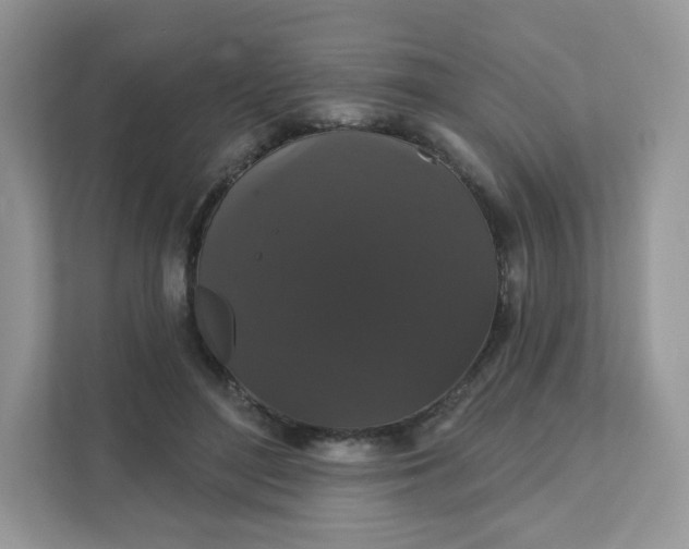 X0000111590500200907301429