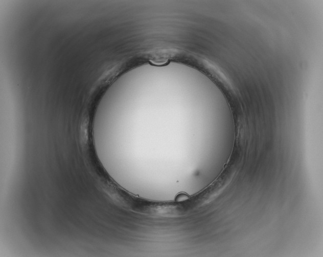 X0000111590501200907301429