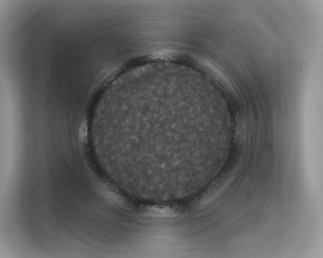 X0000111590502200907301429