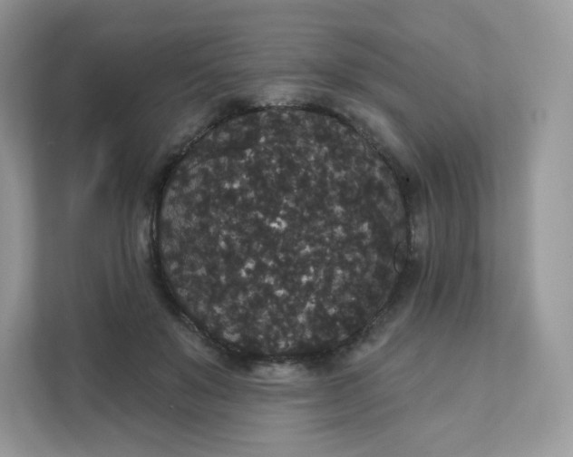 X0000111590503200907301429