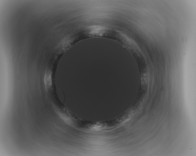 X0000111590504200907301429