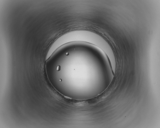 X0000111590505200907301429