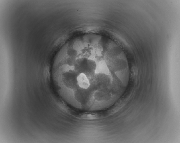 X0000111590506200907301429