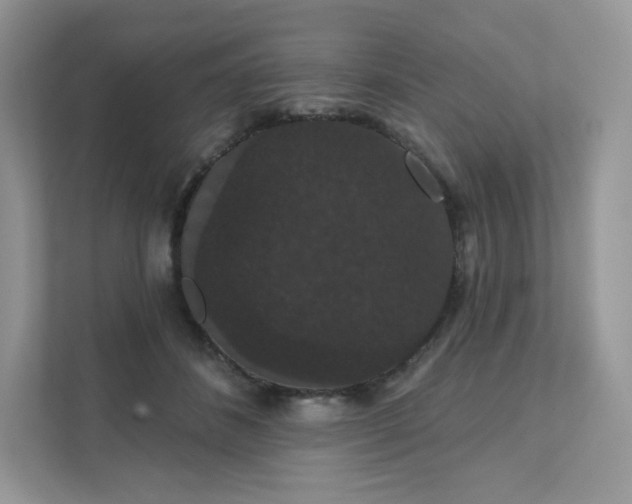 X0000111590508200907301429