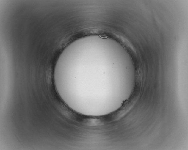 X0000111590509200907301429