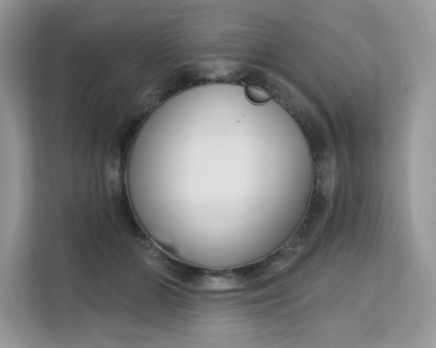 X0000111590510200907301429