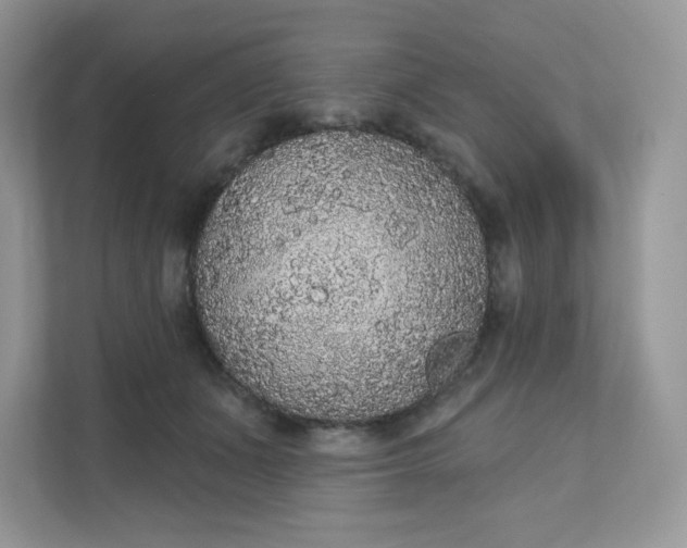 X0000111590511200907301429