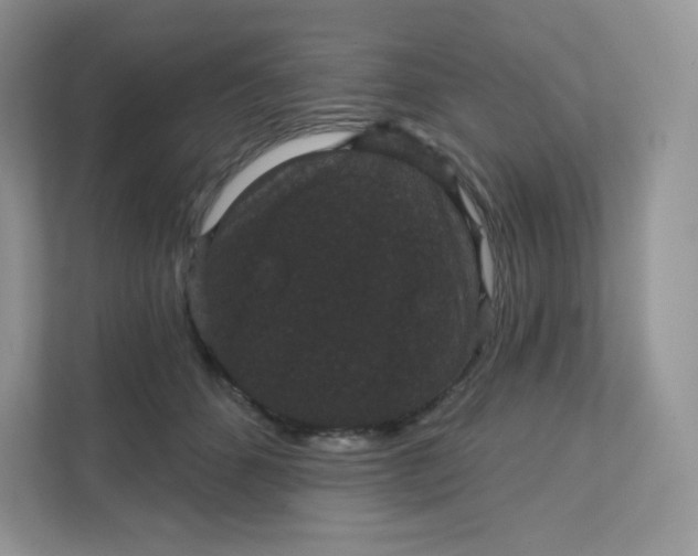 X0000111590512200907301429