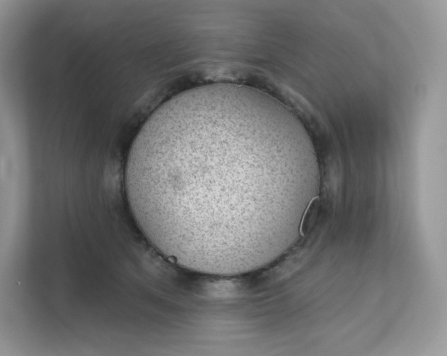 X0000111590513200907301429