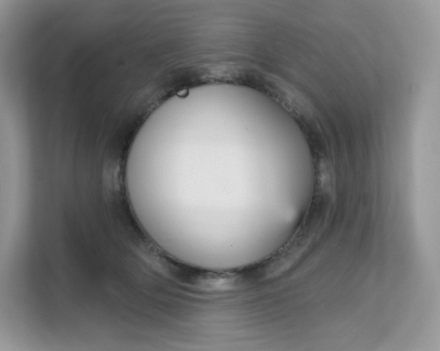 X0000111590514200907301429