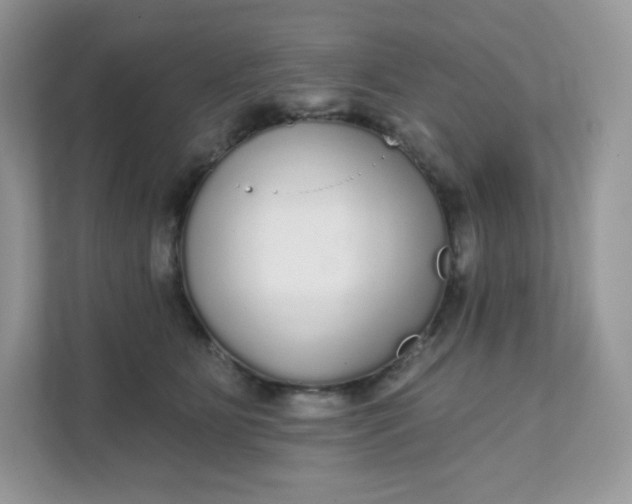 X0000111590515200907301429