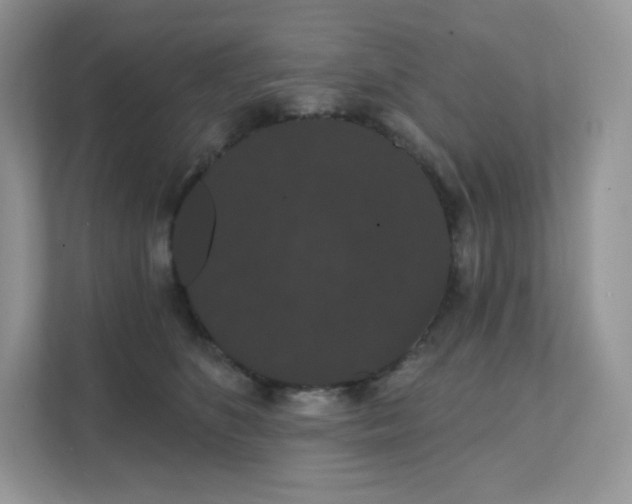 X0000111590516200907301429