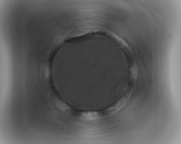 X0000111590517200907301429