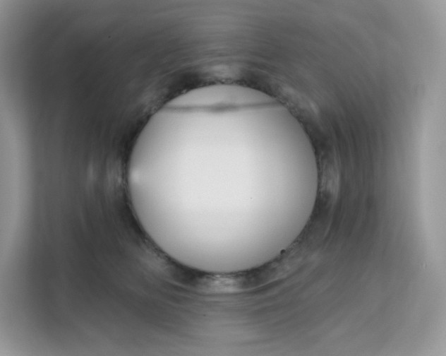 X0000111590518200907301429