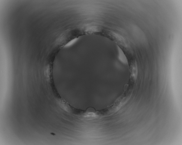 X0000111590519200907301429