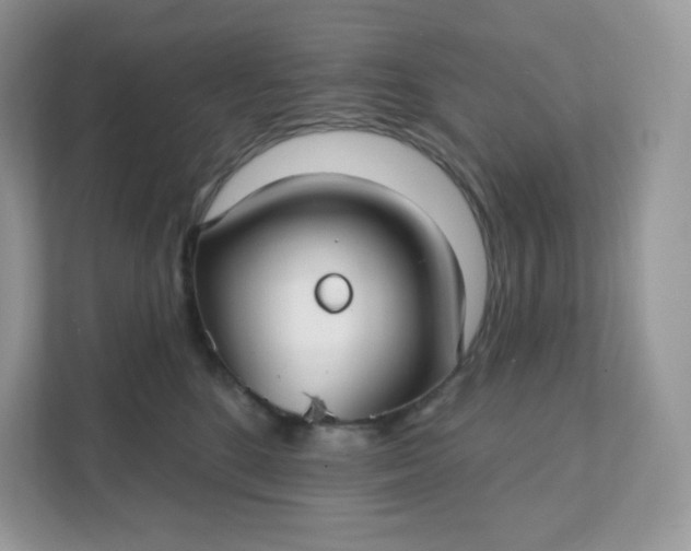 X0000111590520200907301429