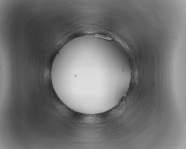 X0000111590521200907301429