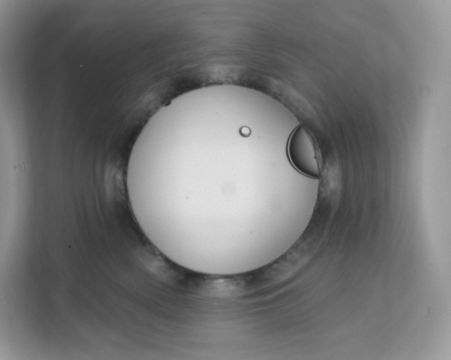 X0000111590522200907301429