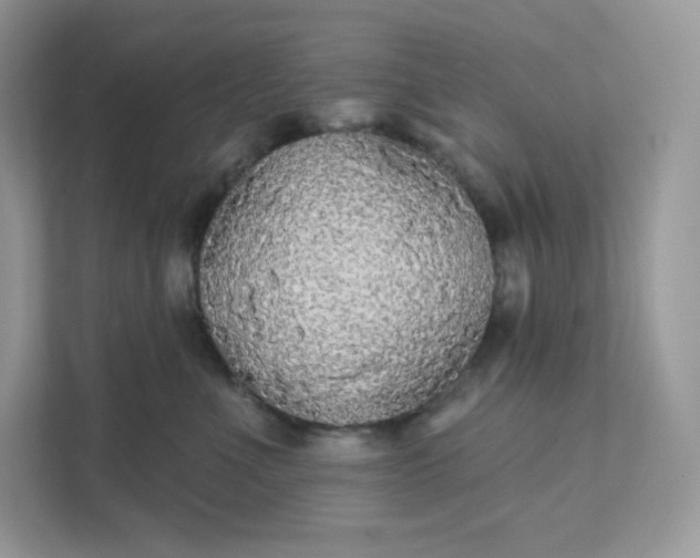 X0000111590523200907301429